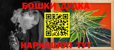 гидропоника Сланцы