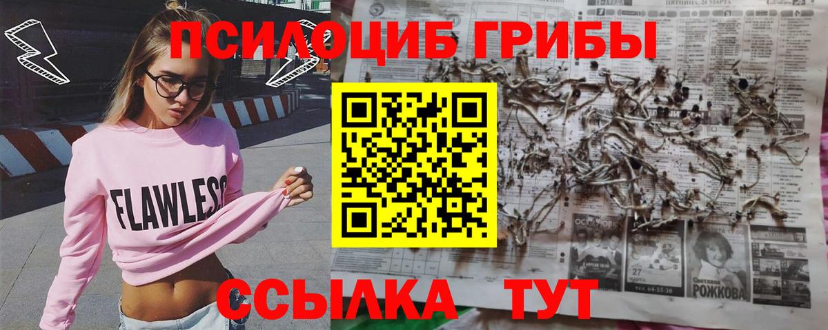 Тавда  Галлюциногенные грибы мухоморы  как найти   Вход с VPN  Псилоцибиновые грибы мухоморы 