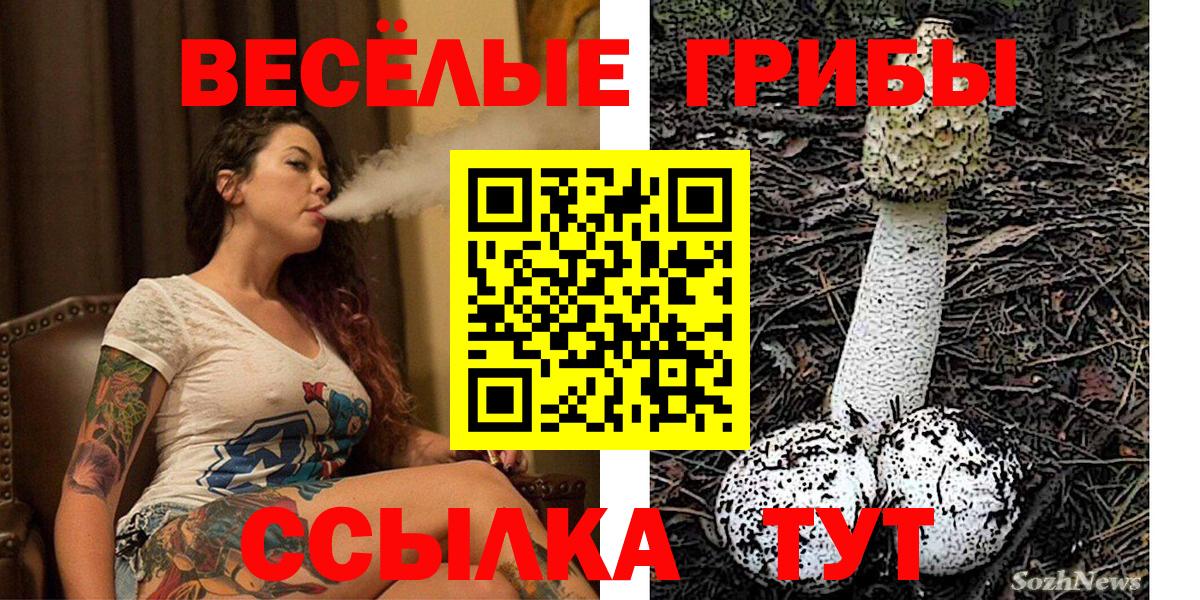 Галлюциногенные грибы ЛСД Тавда